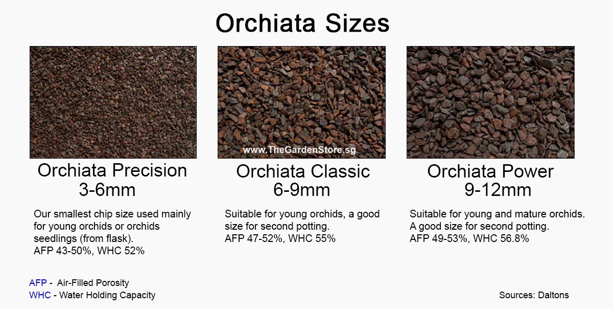 Orchiata sizes: 3-6mm, 6-9mm, 9-12mm